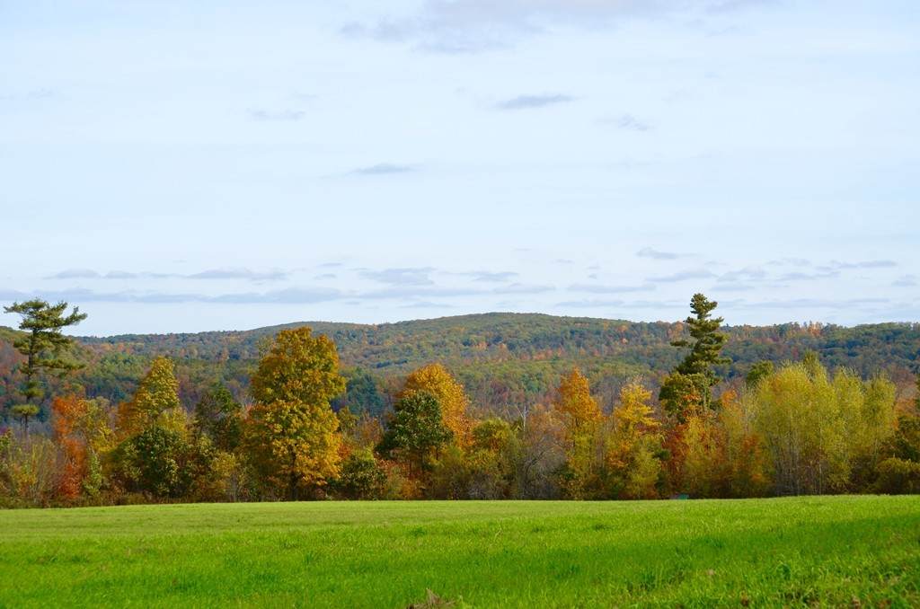 Lot A Paige Hill - Photo 1