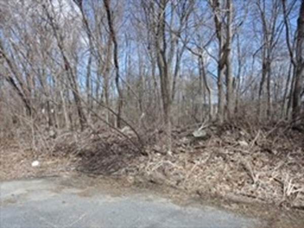 0 Pontiac Ave L:B - Photo 1