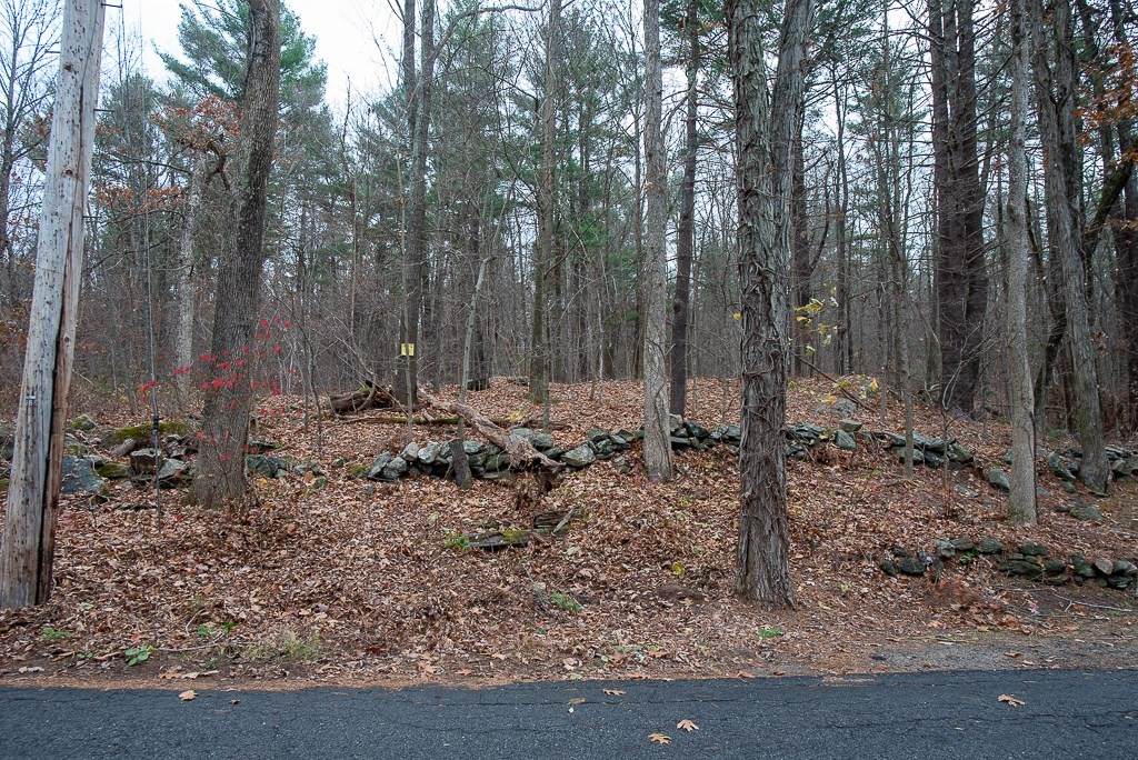 44 Old Mill Rd - Photo 1