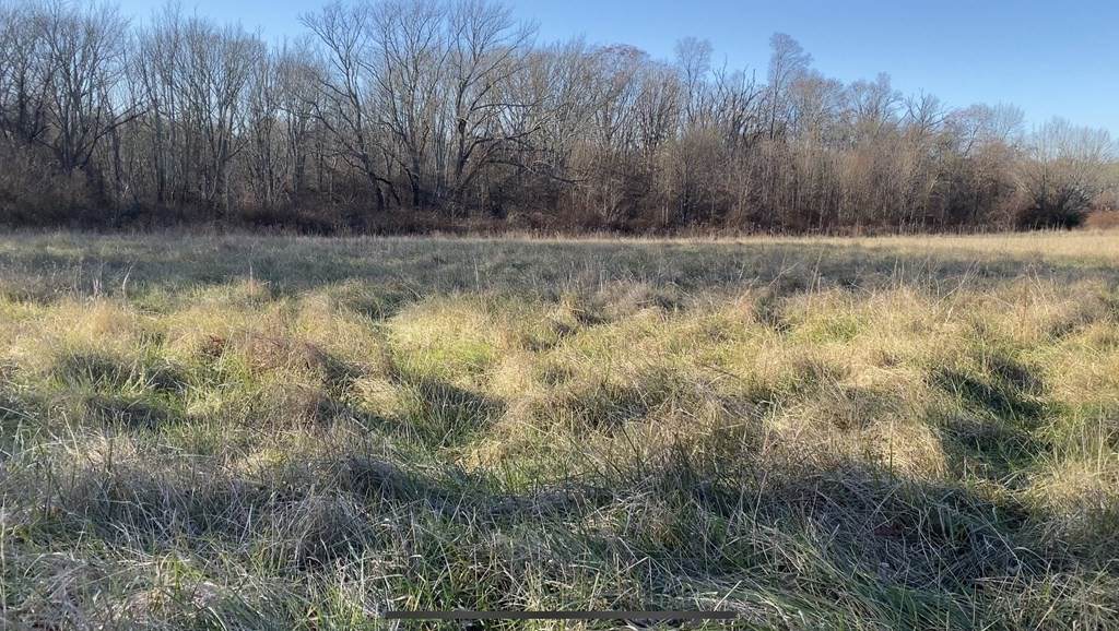 Lot 1 Sharps Lot Rd. - Photo 1