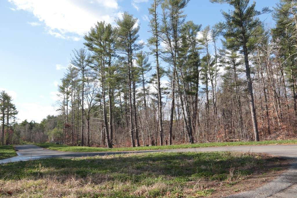 lot 7A Christina Way - Photo 1