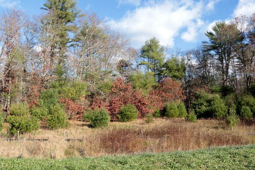 lot 8A Christina Way - Photo 1