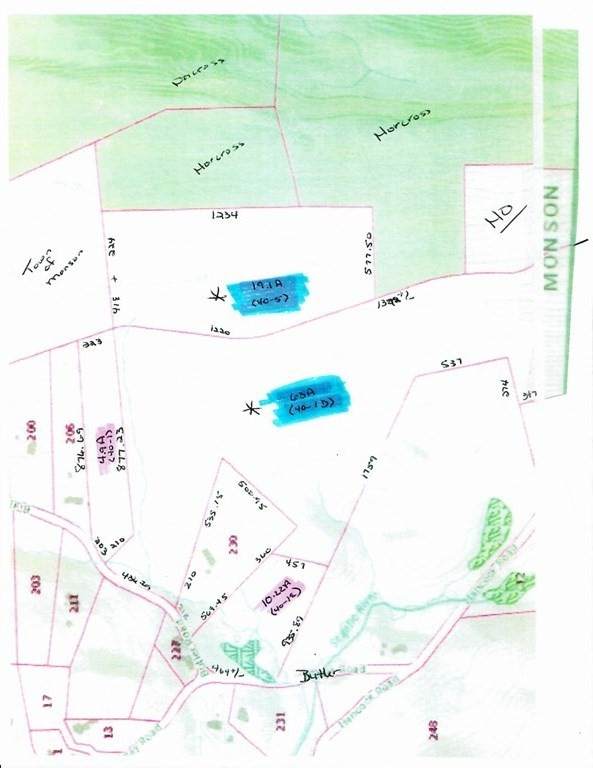Lot 40.1D Butler Rd - Photo 1