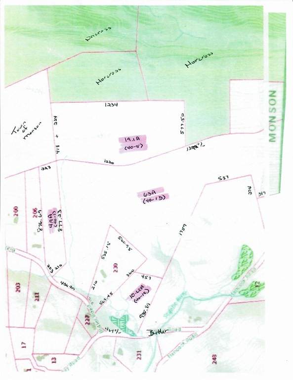 4 lots Butler Rd - Photo 1