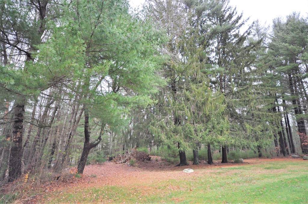 Lot 13B Grove St - Photo 1
