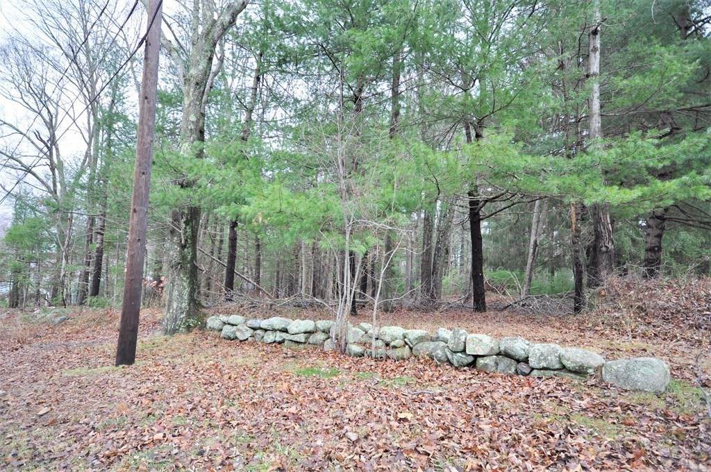 Lot 13C Grove St - Photo 1