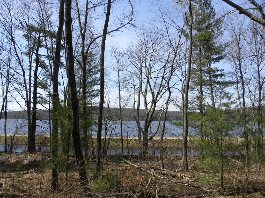 Lot 0 Center St - Photo 1