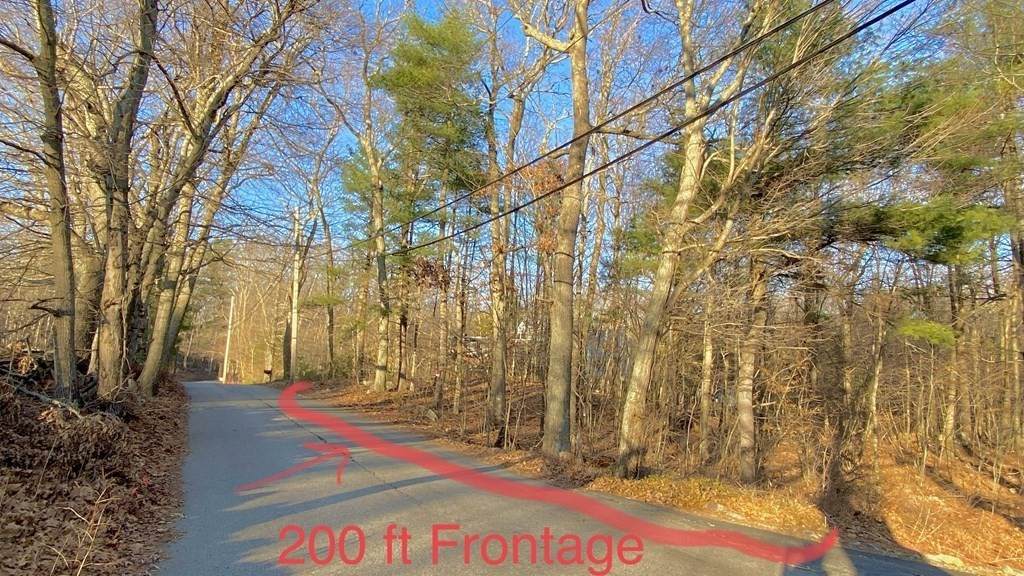 120 White Birch St - Photo 1