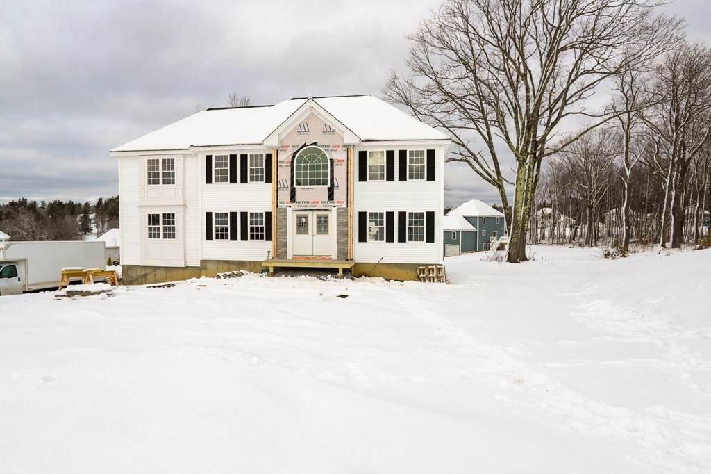 11 White Pine - Photo 1