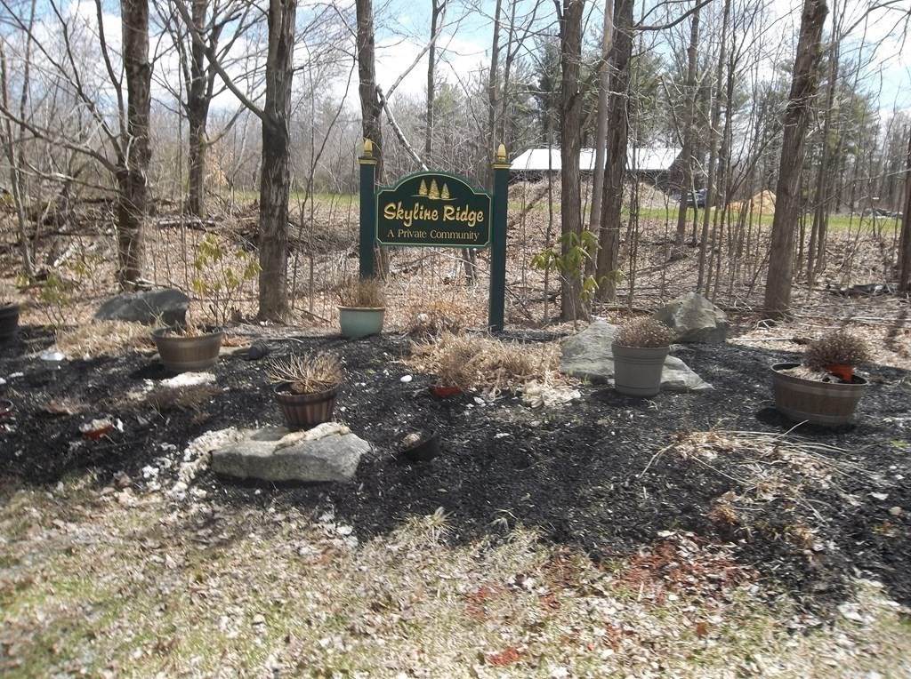 LOT 3 Skyline Ridge Rd - Photo 1