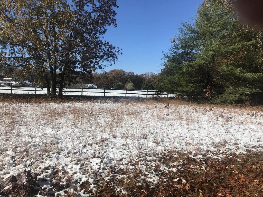 470 Amherst Road - Photo 1