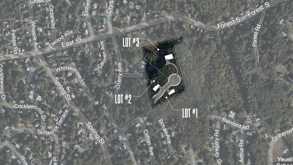 0 Lovis Ave Extension - Photo 1