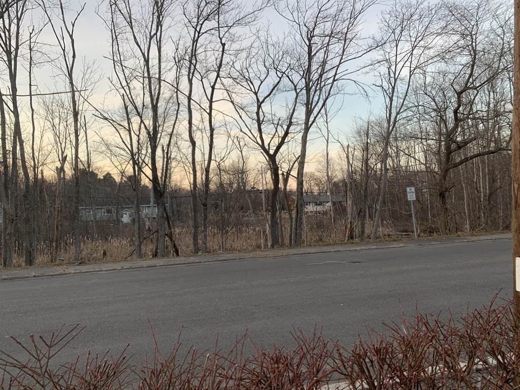 206 Court Street - Photo 1
