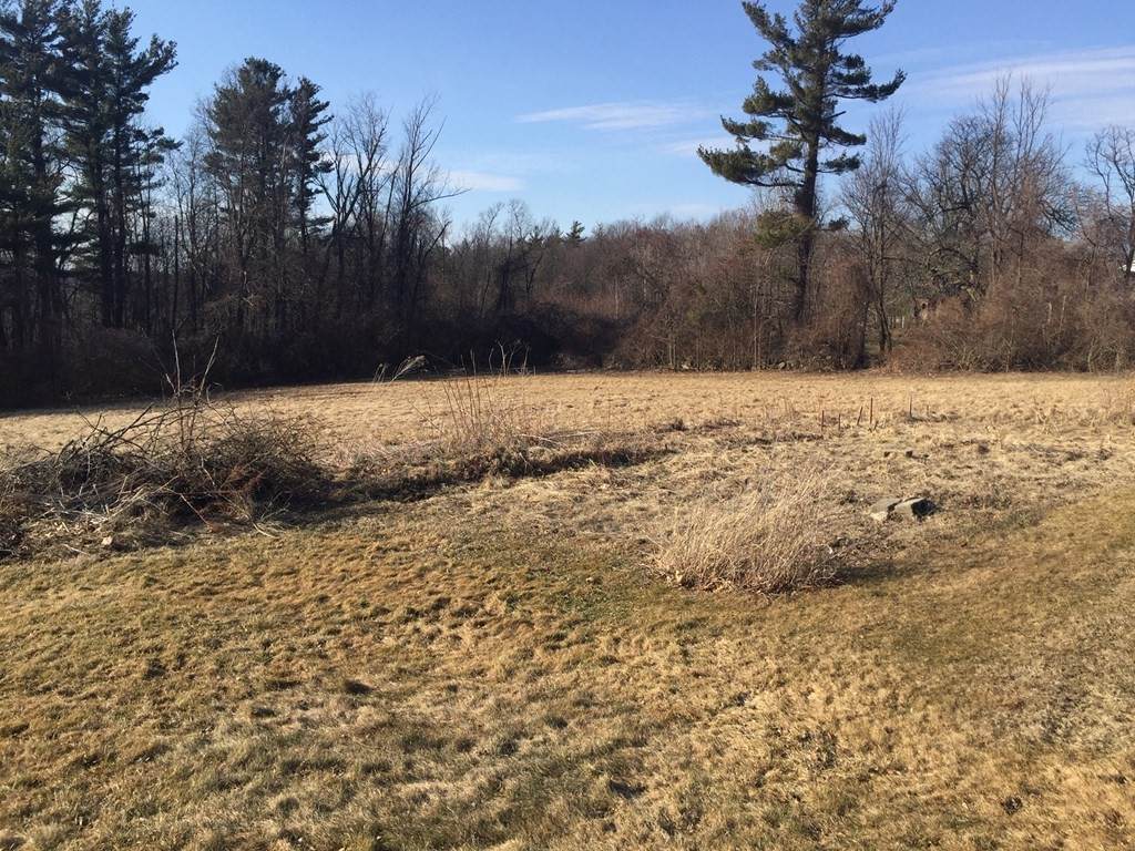 lot 253 Legate Hill Rd - Photo 1