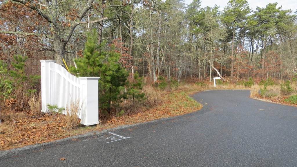 46 Indian Trail - Photo 1