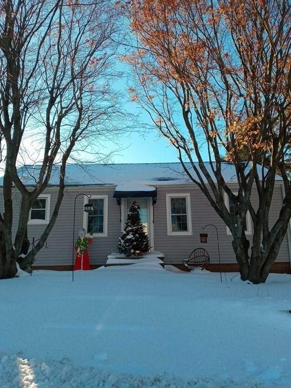 33 Bedford Street - Photo 1