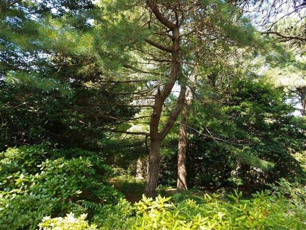 6 Merrymount Rd - Photo 1