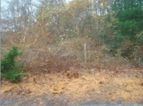 97 Waters Edge Rd - Photo 1