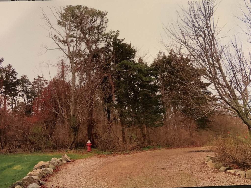 7 Rabbit Run - Photo 1