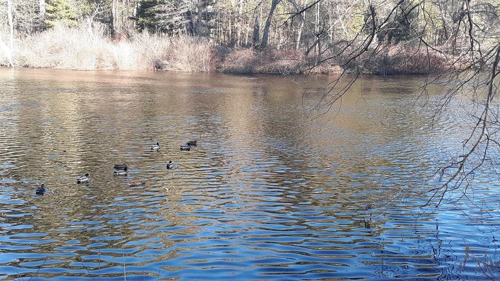 76 River Road - Photo 1
