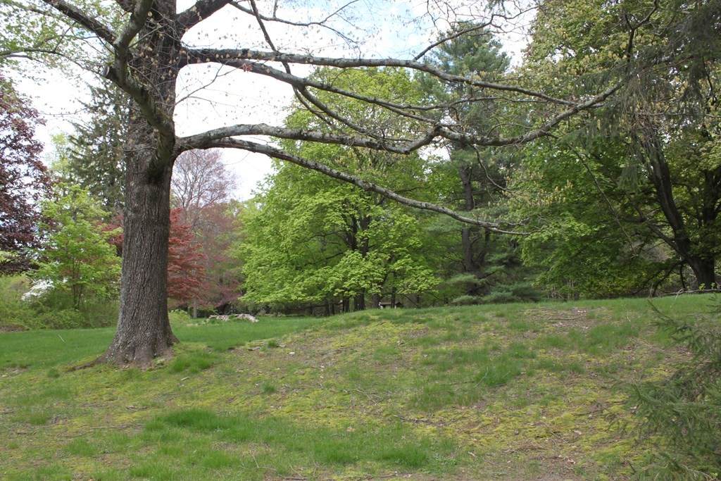 Lot 9 Grove Street - Photo 1