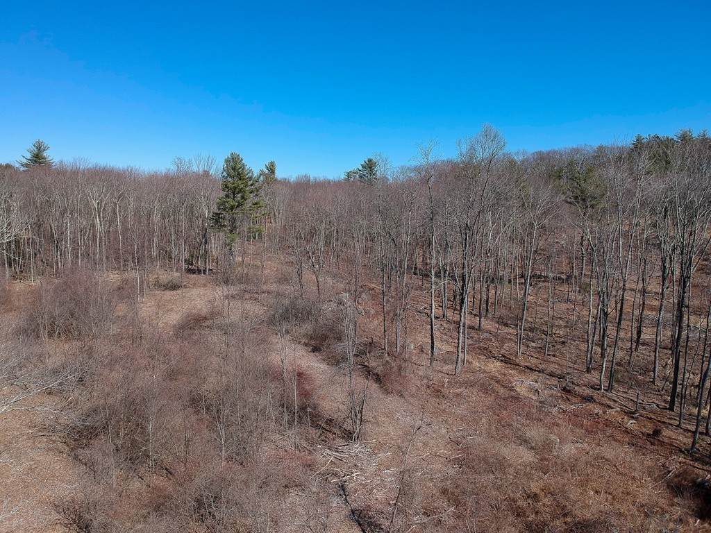 11 Jackson Rd - Photo 1