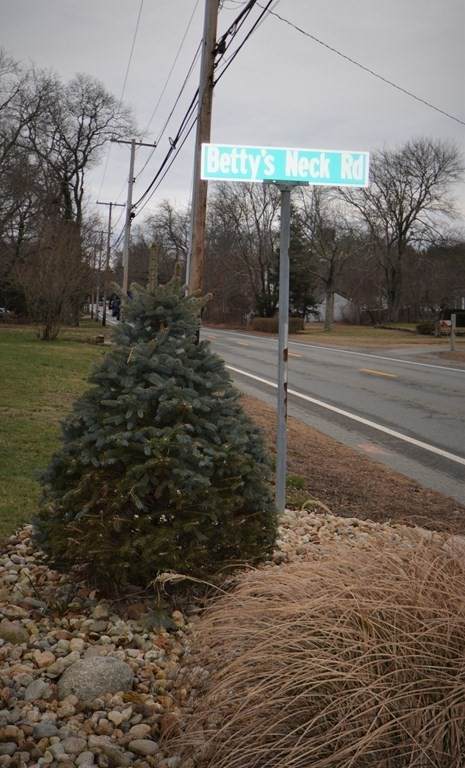0 Bettys Neck Rd - Photo 1
