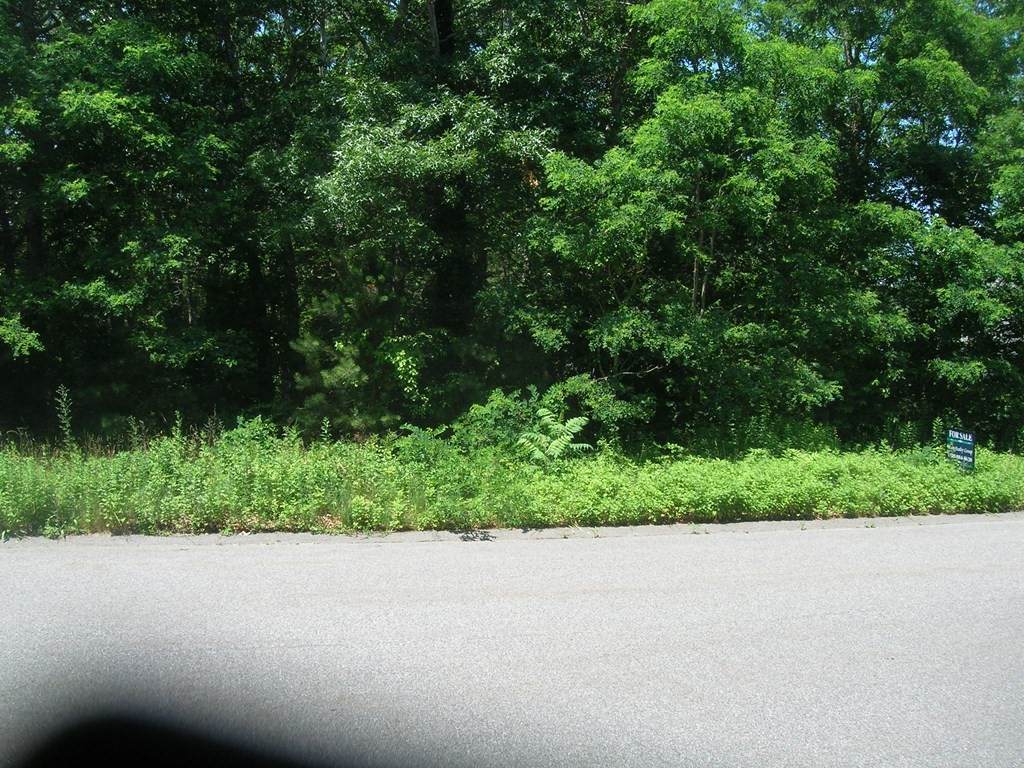 lot 3 Jillian Dr - Photo 1