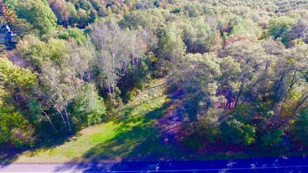 Lot 1 Hickory Road - Photo 1