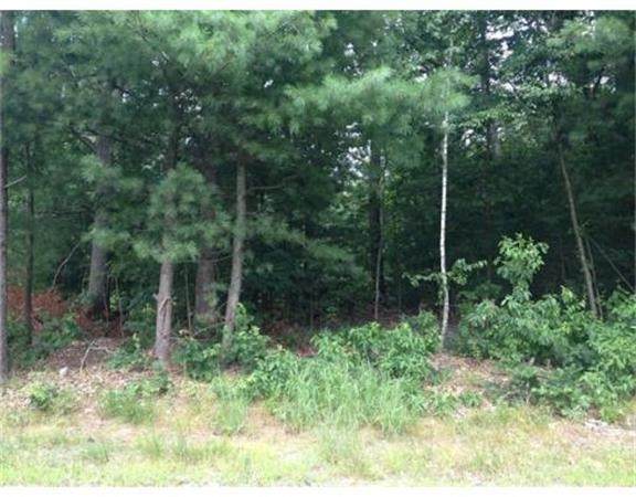 43 Monson Rd - Photo 1