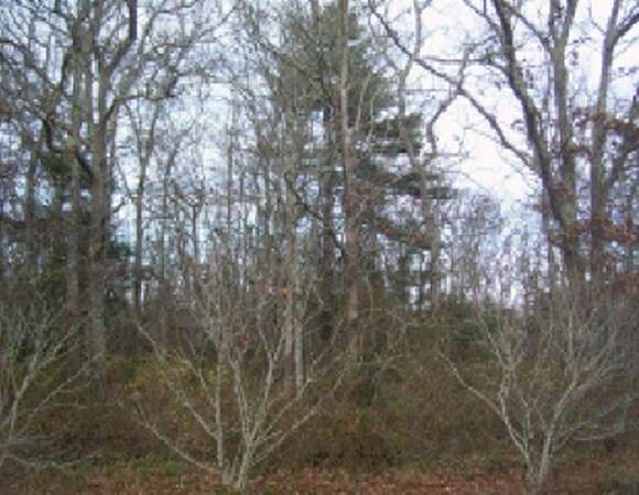 143 Main St - Photo 1