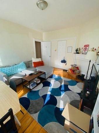 53 Hillside Street - Photo 1