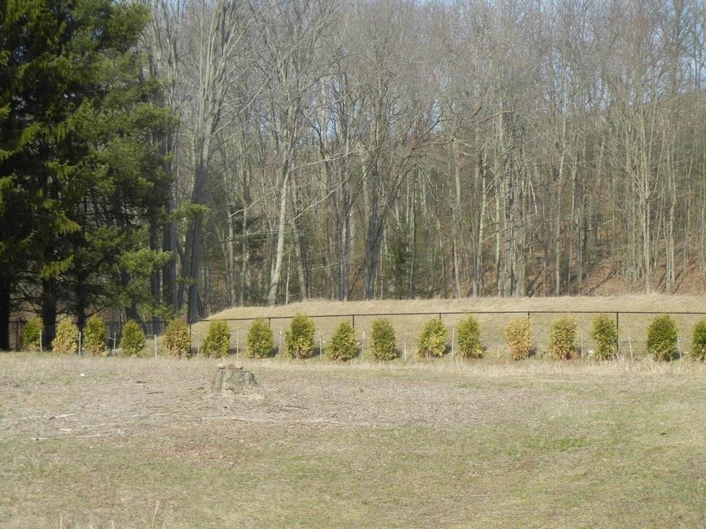 LOT 0 Miller St - Photo 1