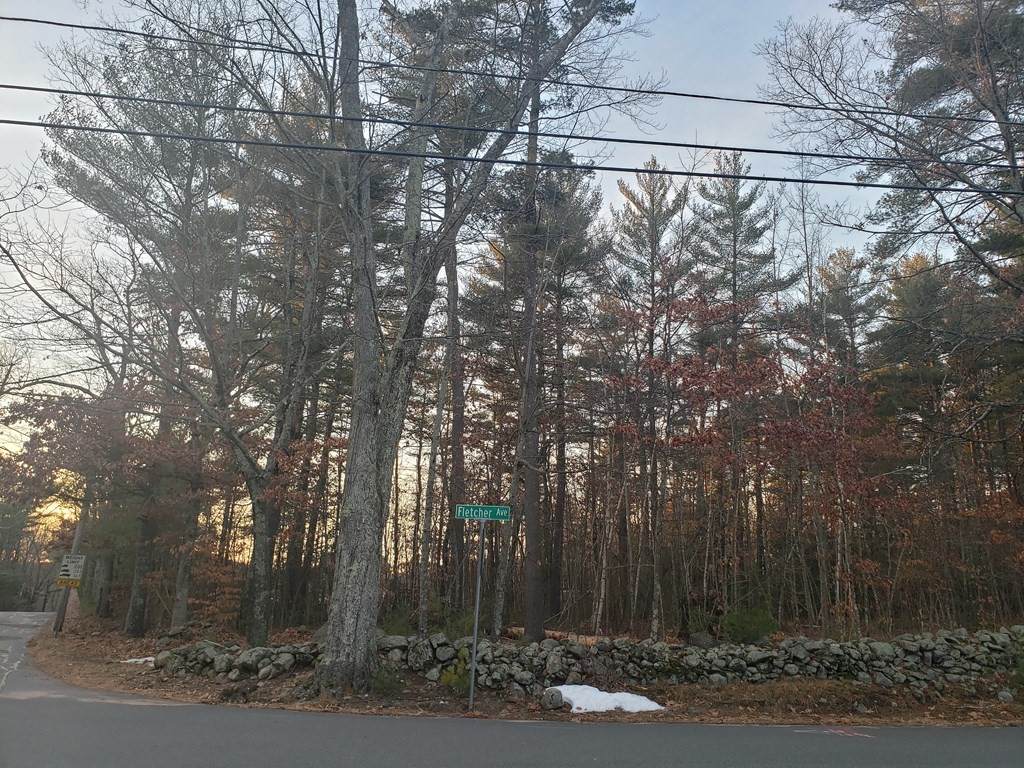 Lot 5 Fletcher Ave - Photo 1