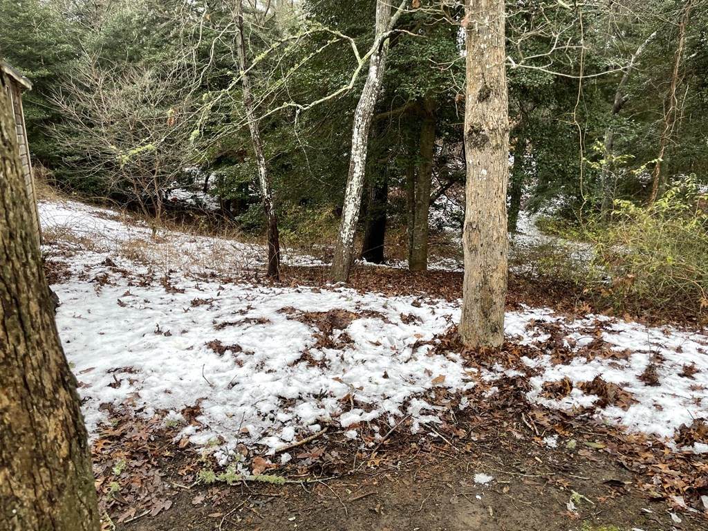 123 Old Post Rd - Photo 1