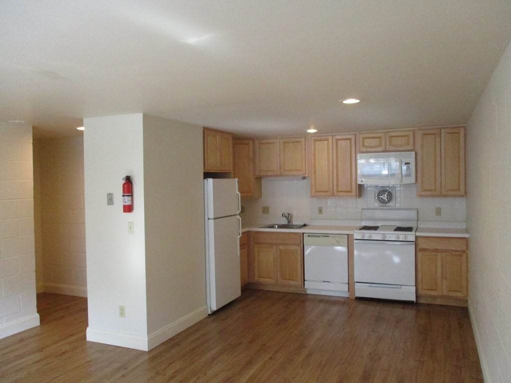 117 West Concord Street - Photo 1