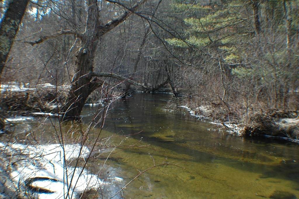 0000 Tully Rd - Photo 1