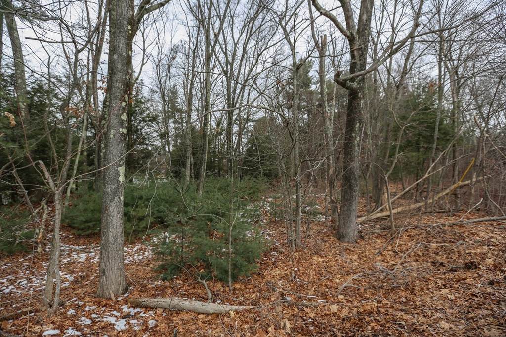 641 Pleasant St - Photo 1