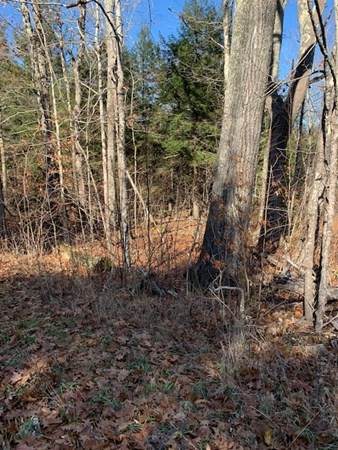 0 Sandisfield Rd - Photo 1