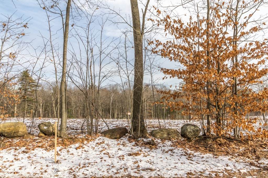 Lot 5 Turner Lane - Photo 1