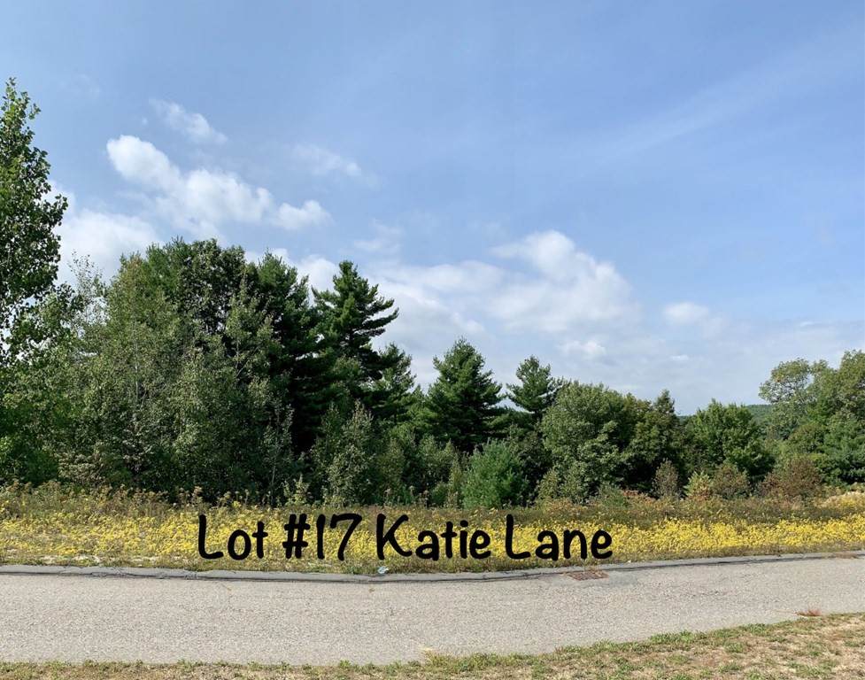 Lot 17 Katie Lane - Photo 1