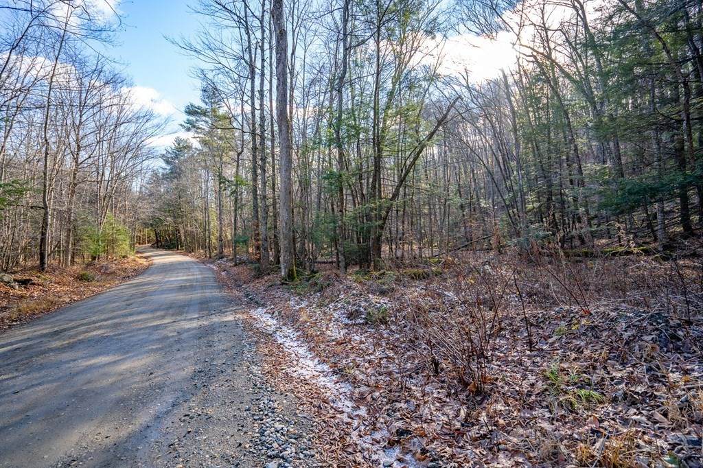 Lot 4 Kimball Rd - Photo 1