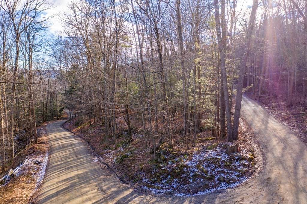 Lot 1 & 2 Goss Hill Rd - Photo 1