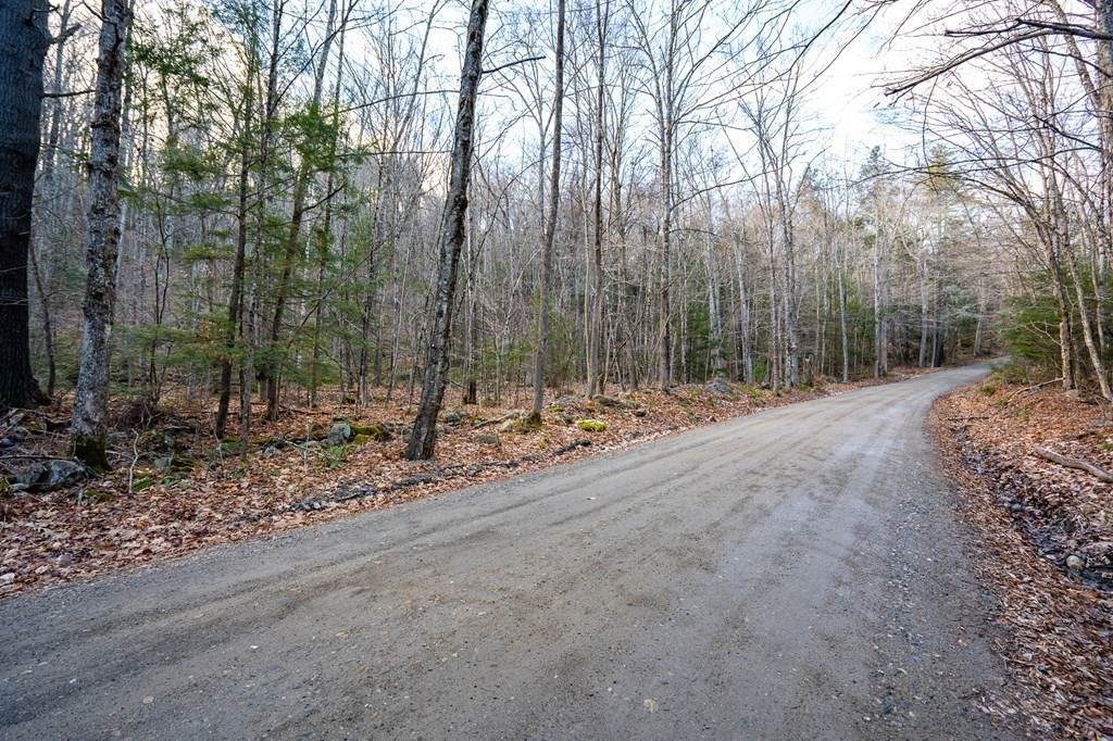 Lot 3 Goss Hill Rd - Photo 1