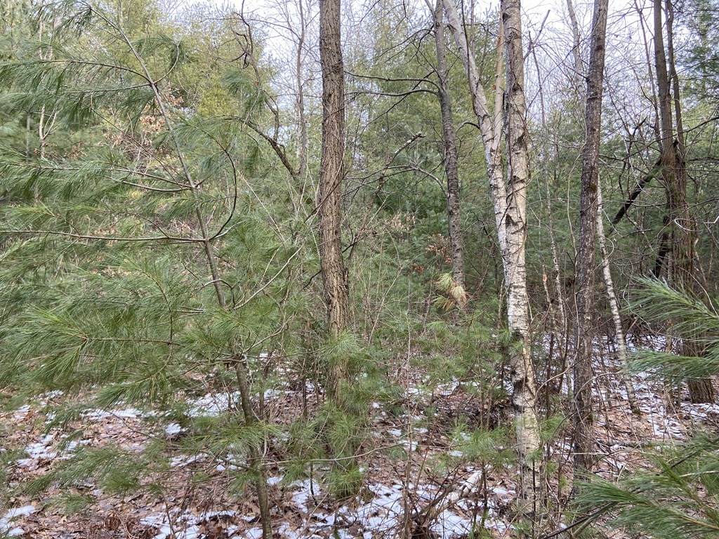 0 Greenwich Rd - Photo 1