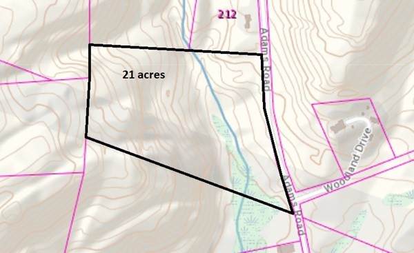 0 Adams Rd - Photo 1