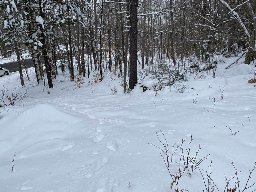 0 Spruce Corner Rd. - Photo 1
