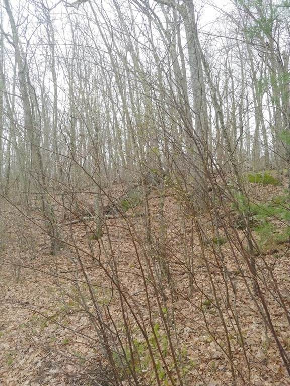 0 W Warren Rd - Photo 1