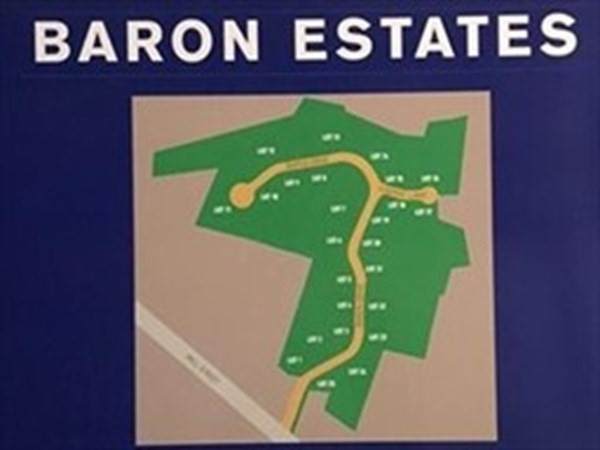 lot 13 Baron Drive - Photo 1