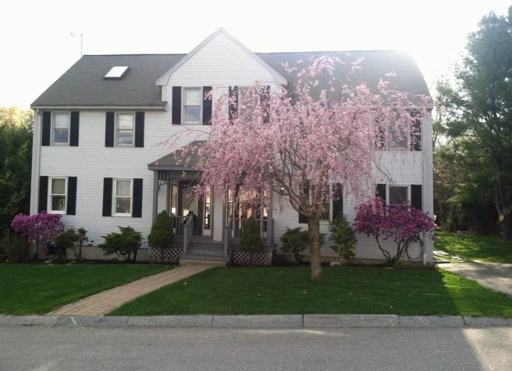 57 Essex Ave - Photo 1